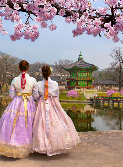Korea Korea