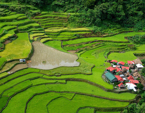 Banaue